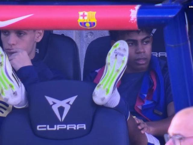 1733044796900069647.jpg 微信图片_20241201171150.jpg